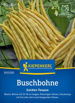 Exotic Seeds - Borlotto Rosso, Buschbohne, 30 Samen - Foto 5