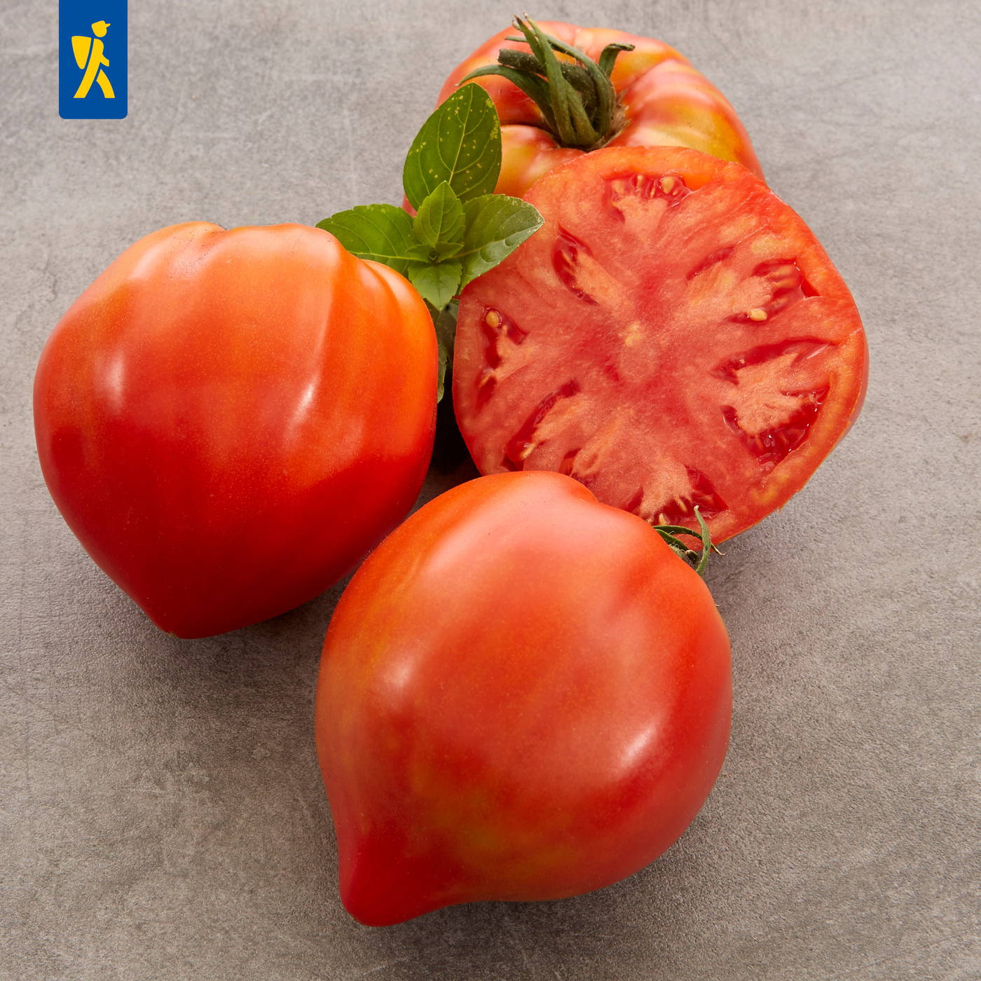 Drei Tomaten, eine Tomate halbiert, und ein grüner Basilikumzweig auf grauem Hintergrund.