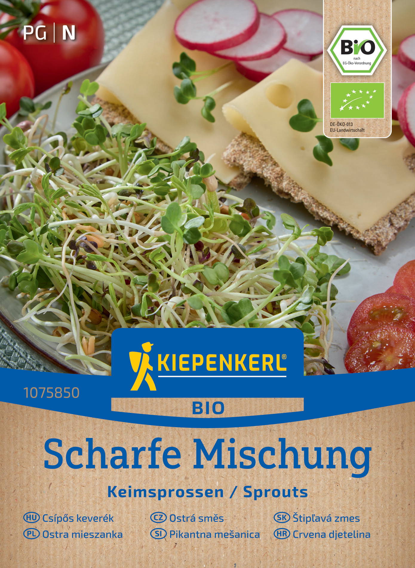 Bunte Keimsprossen, Käsebrot, Tomatenscheiben, Radieschen, und weitere Zutaten auf einem bunten Teller.