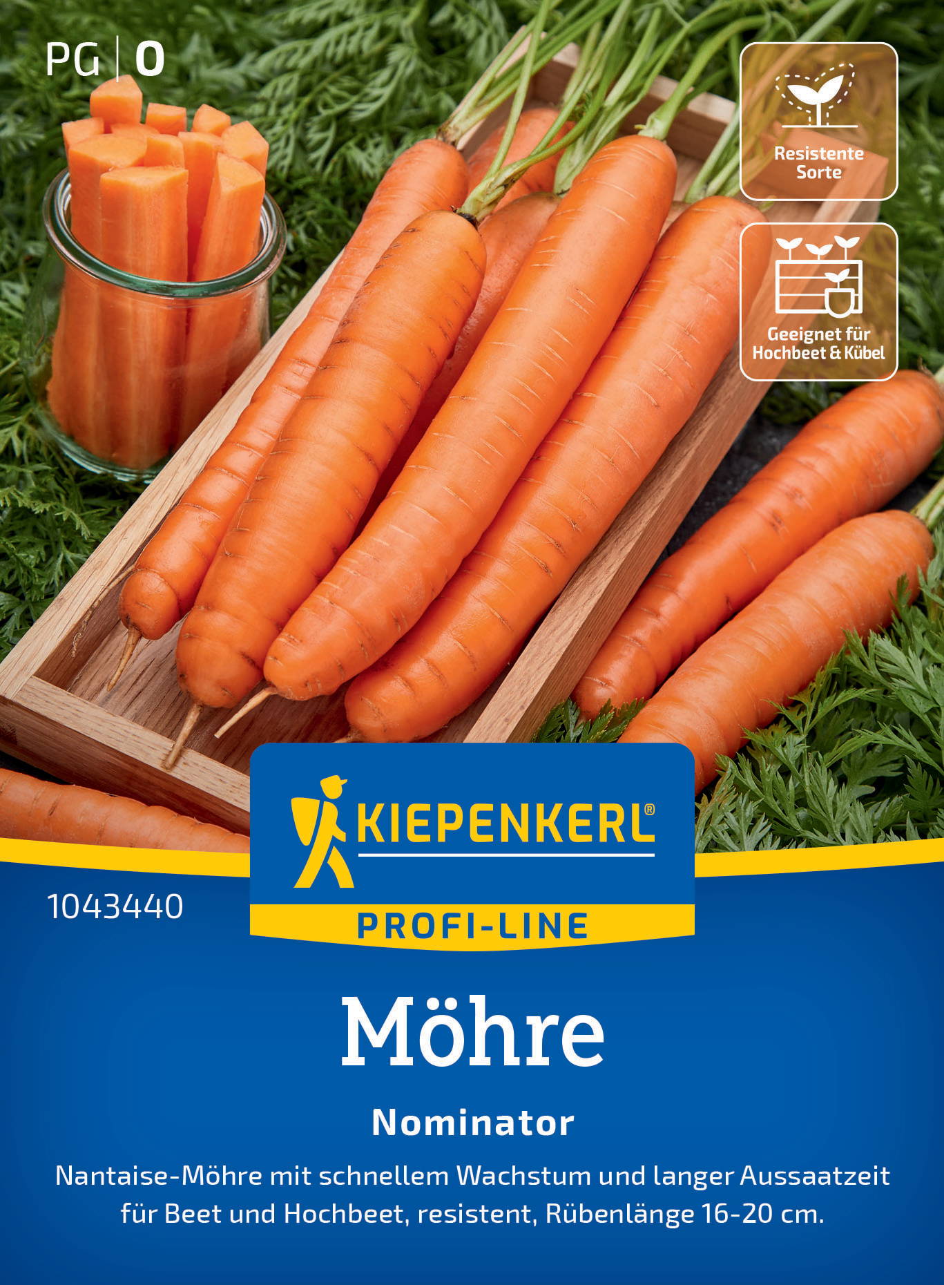 Bündel Karotten, eine Gläser mit in Stücke geschnittenen Karotten und grüne Blätter im Hintergrund.