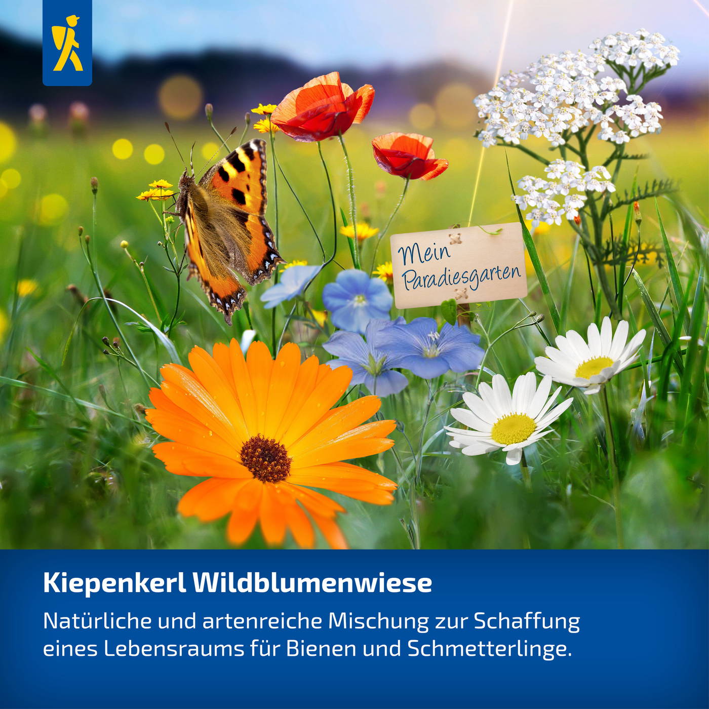 Bunte Blumen, ein Schmetterling, ein Schild mit "Mein Paradiesgarten" und ein blauer Banner mit Text über Wildblumenwiese.