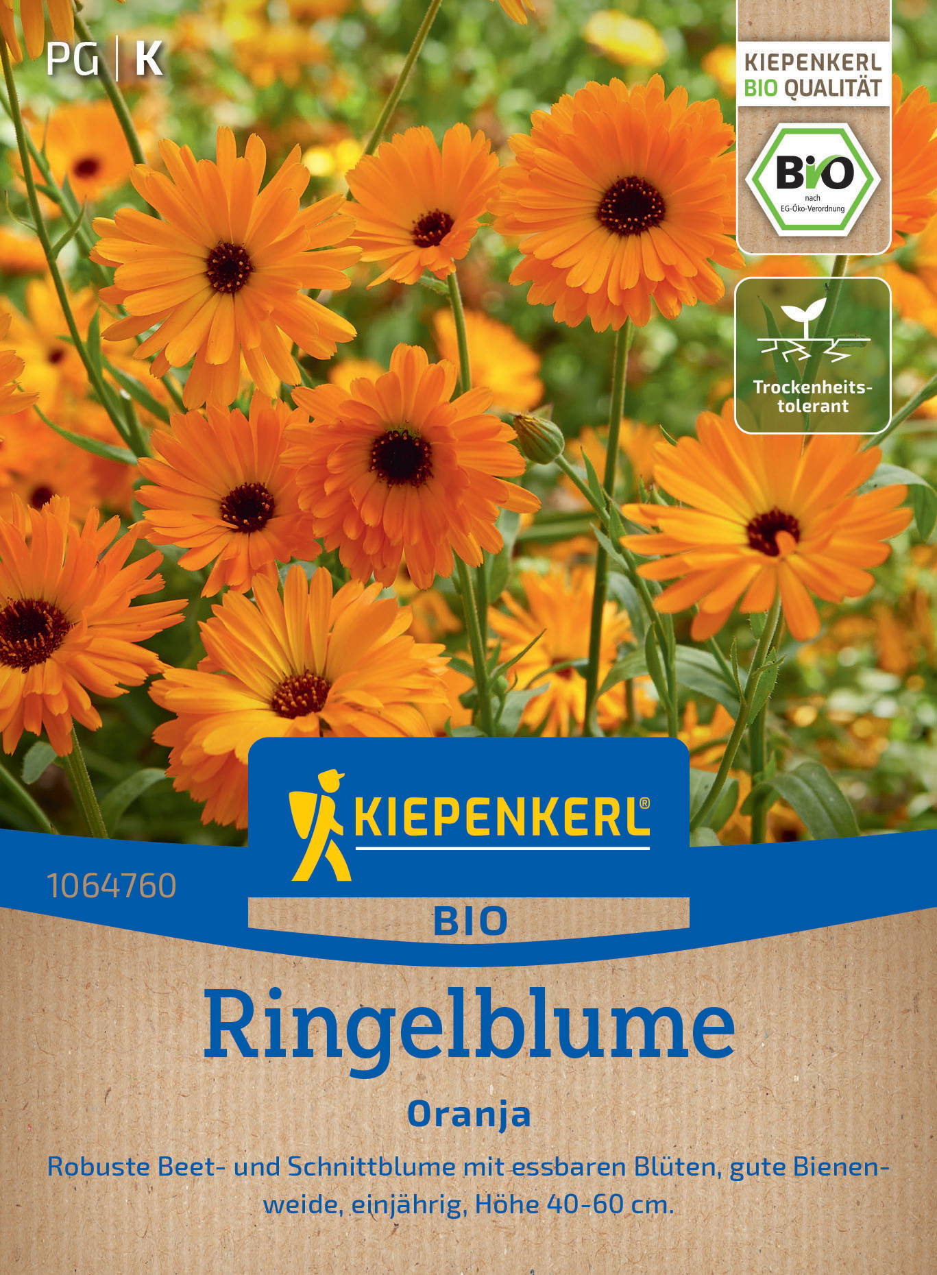 Orange Ringelblumen mit grünen Stängeln und Blättern, auf Verpackung mit KIEPENKERL BIO Label.