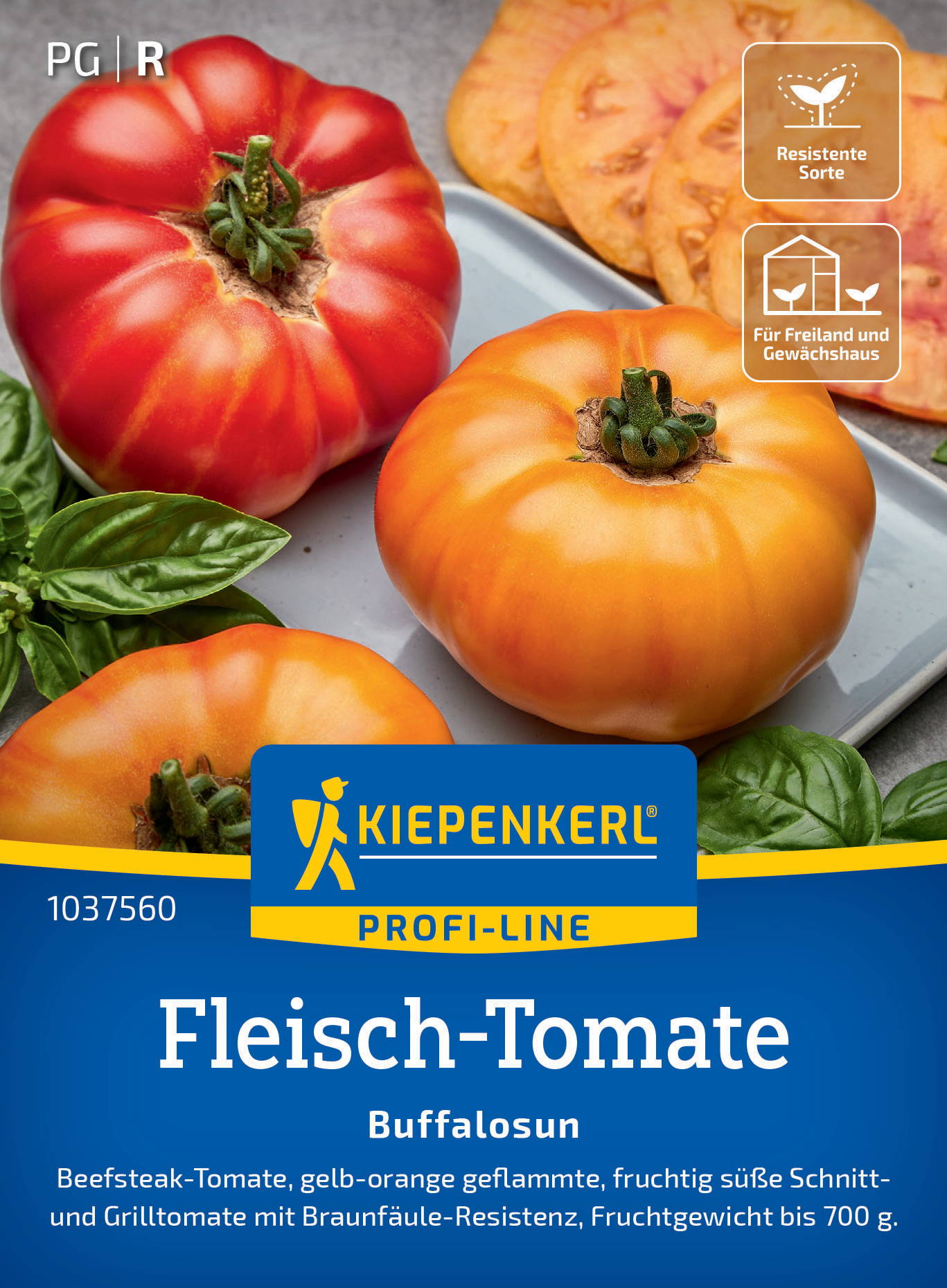 Bunte Fleischtomaten in Rot und Orange mit grünen Stielen, auf weißem Hintergrund, sowie grüne Basilikumblätter.