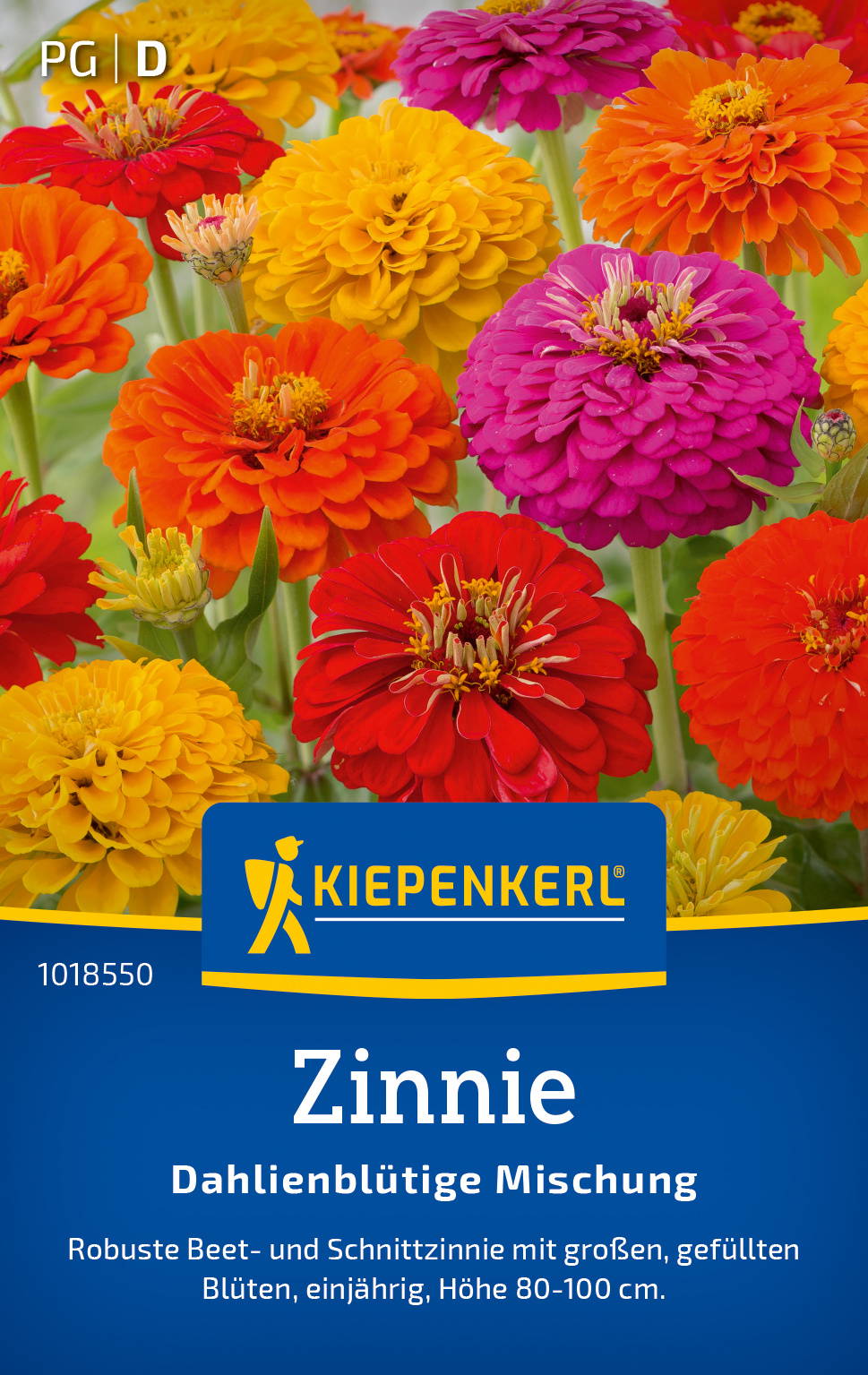 Zinniensamen Dahlienblütige Mischung