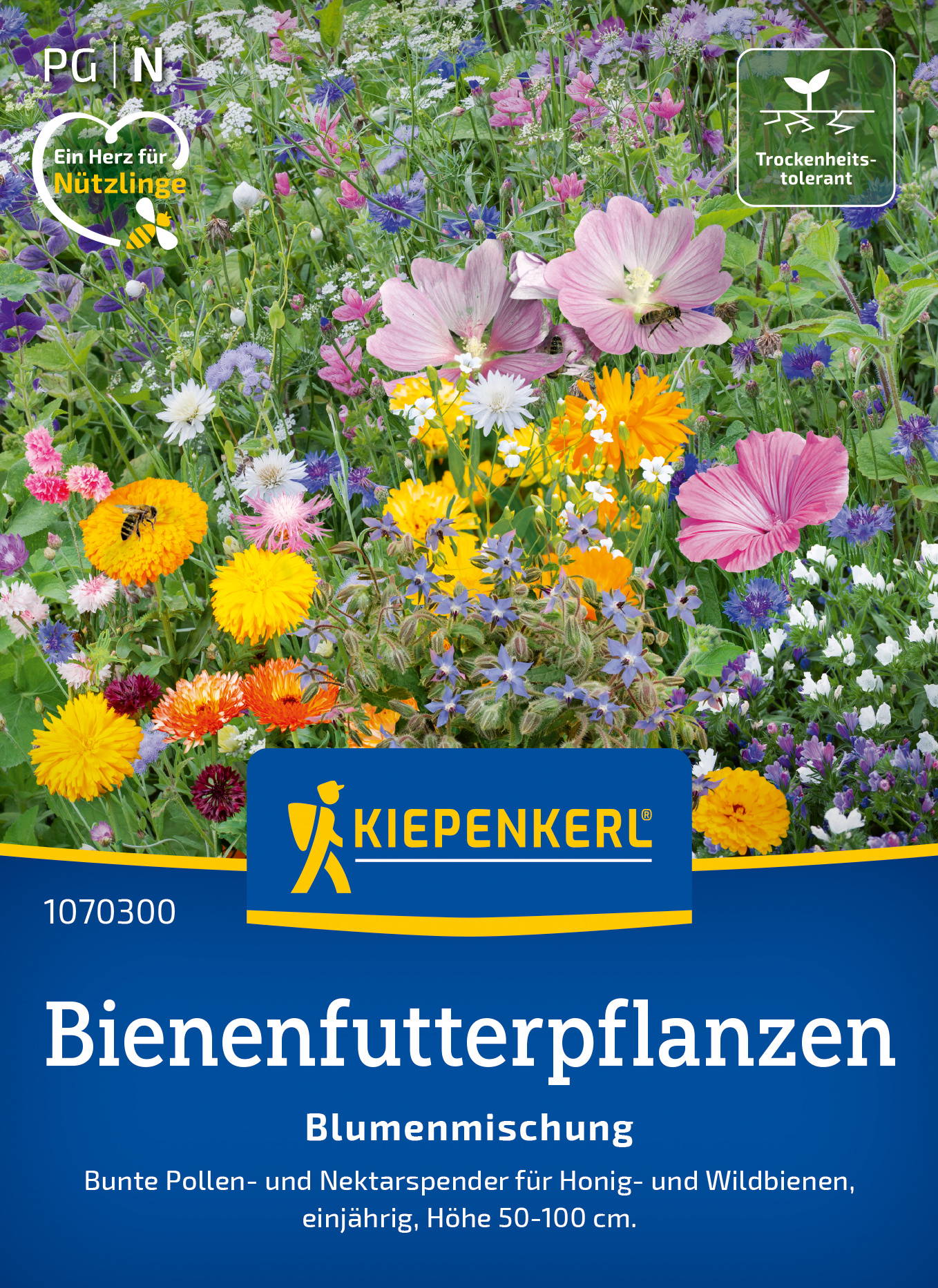 Blumensamen-Mischung Einjährige Bienenfutterpflanzen