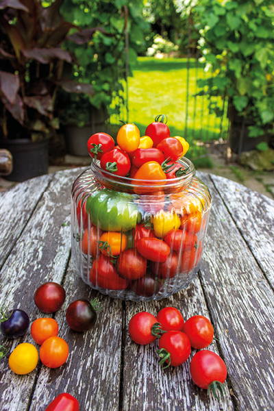 Bunter Tomatensalat in Glas im Freien auf Holztisch, umgeben von einzelnen Tomaten.