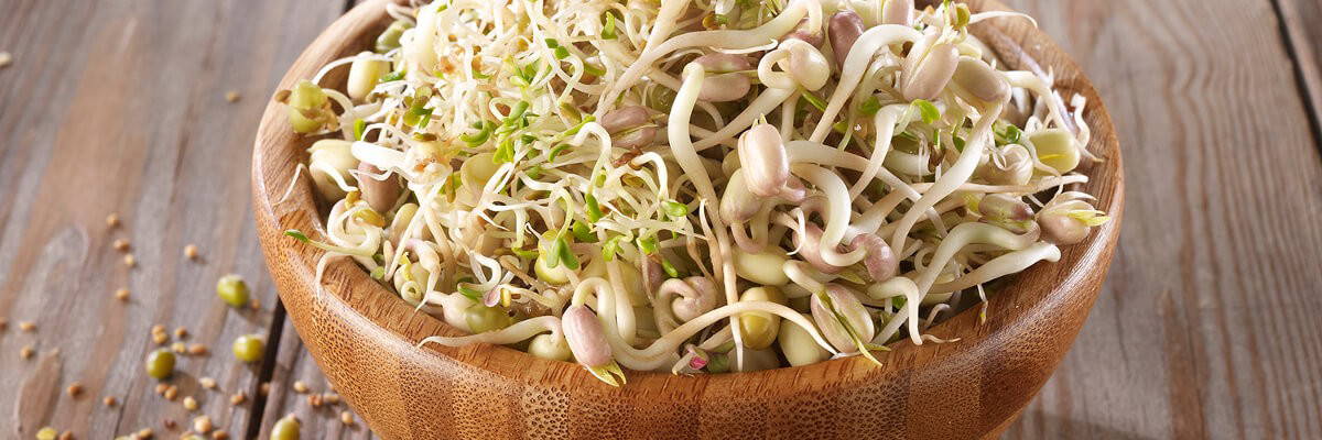 Zwei Grünpflanzen in weißen Töpfen vor einer weißen Wand.