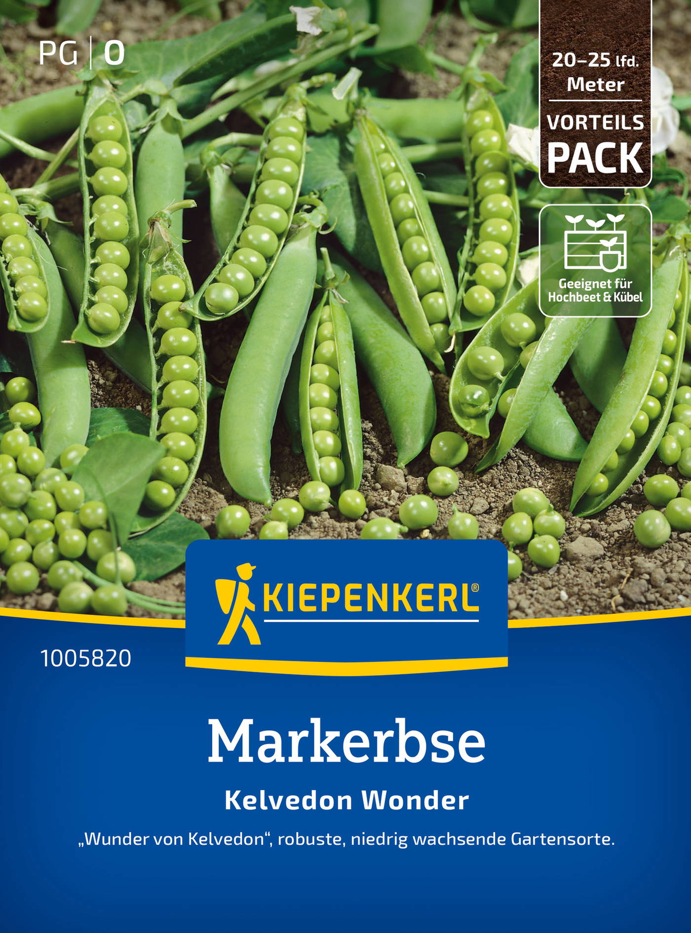 Markerbsensamen Kelvedon Wonder, Vorteilspackung