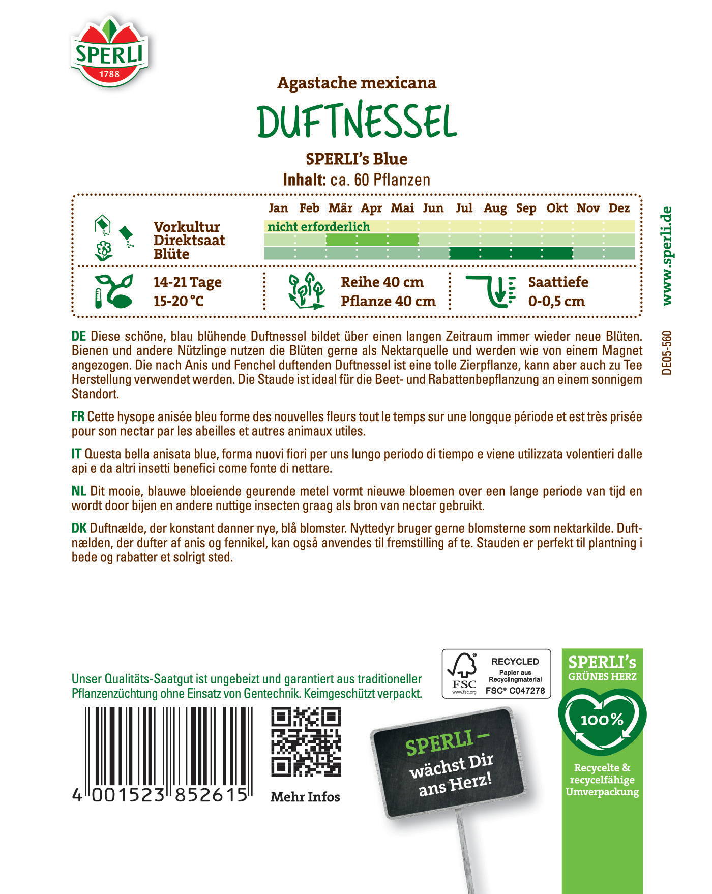 Blaue duftende Agastache mexicana Pflanze mit langen Blüten, circa 40 cm hoch, erhältlich in einem Pflanzenpaket.