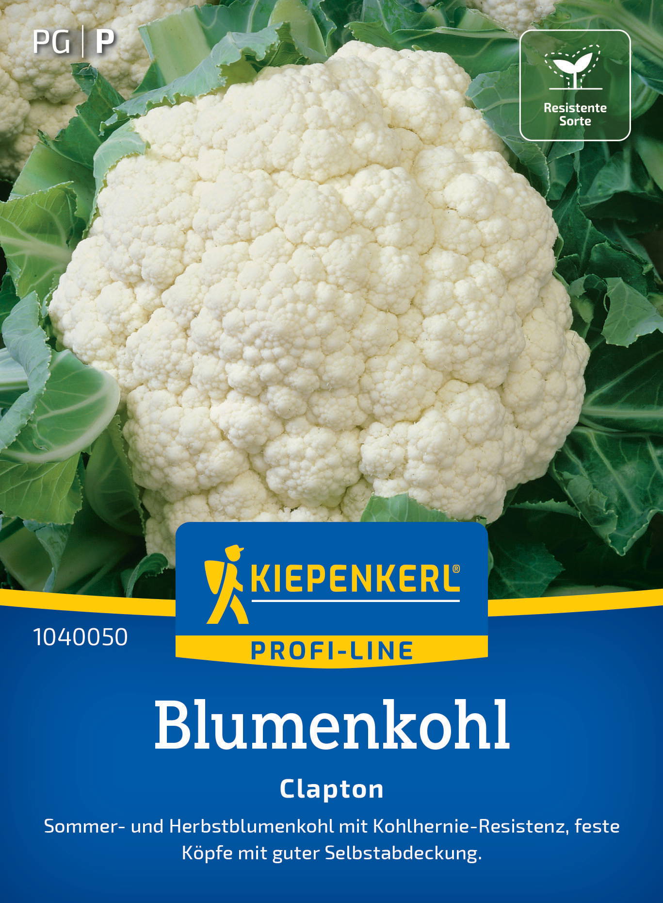 Weißer Blumenkohl mit grünen Blättern, auf Verpackung mit blauer und gelber Beschriftung.