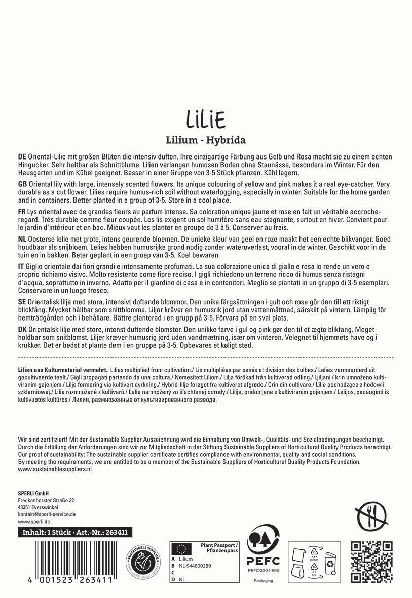 Text auf einem Etikett mit Beschreibung einer Lilie, mehrsprachig, inklusive Pflegehinweisen und Zertifizierungslogos.