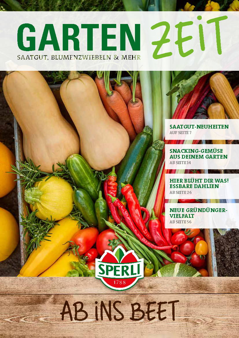 Verschiedene Gemüse und Kürbisse in einer Kiste auf Erde.