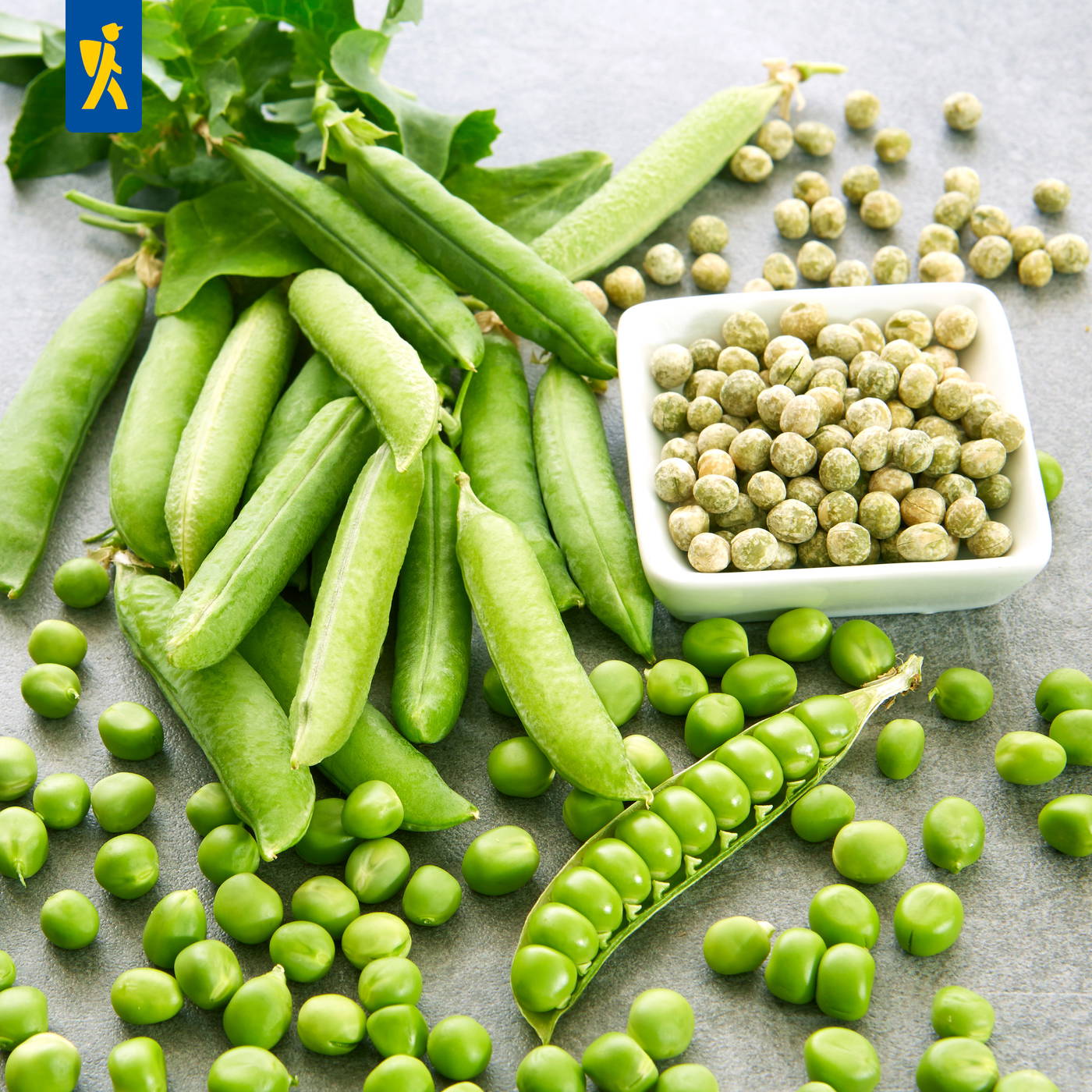 Grüne Erbsen, Schoten, frische Pflanze mit Blättern und eine weiße Schale mit getrockneten Erbsen.