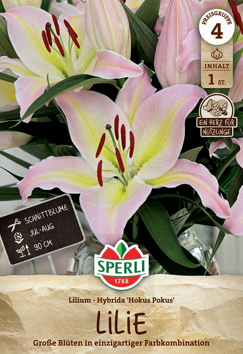 Geranienblüten in rosa und gelb, grüne Blätter, Produktetikett, Marke Sperli, Hinweis auf Blüte Juli-August, 90 cm hoch.