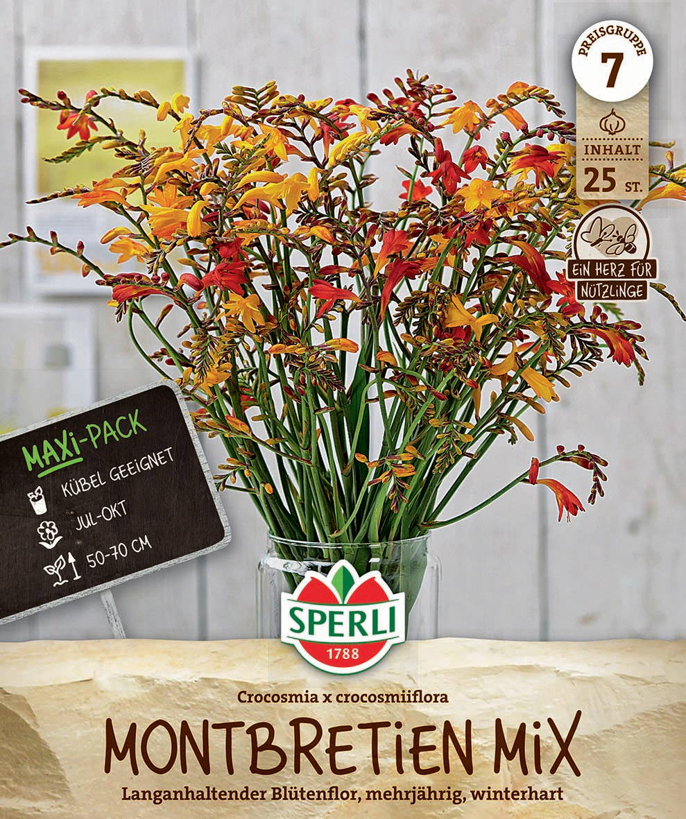 Bunter Blumenstrauß aus Crocosmia x crocosmiiflora in einer klaren Vase, mit Pflanzenetikett.