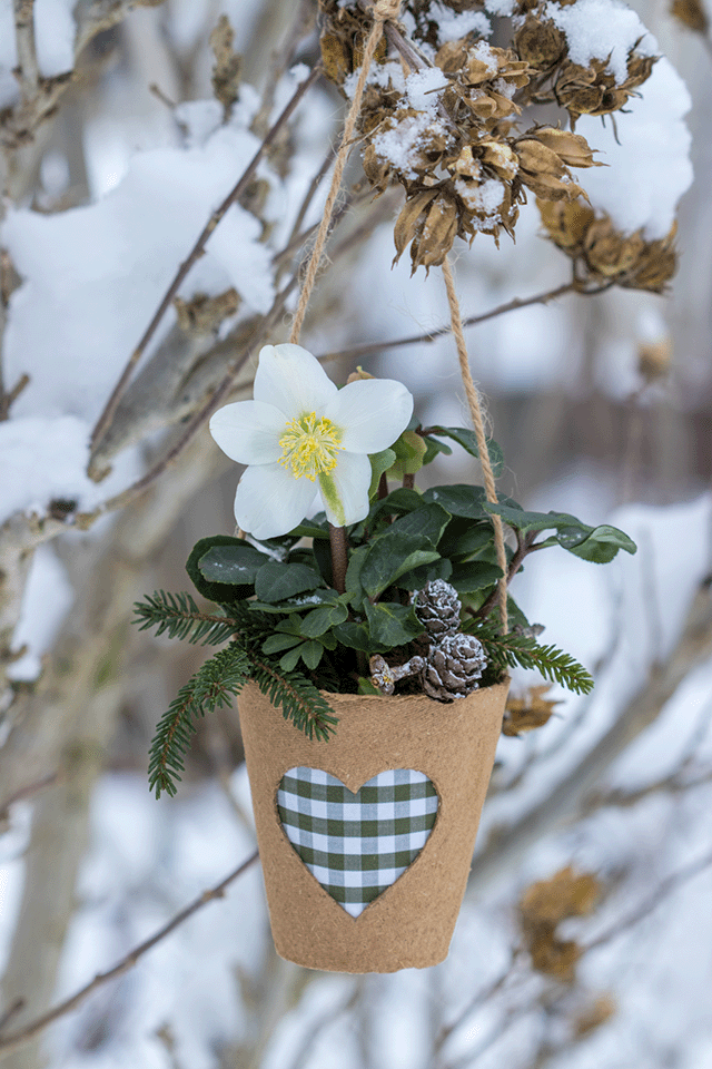 Kunstblume im Filztopf mit Herzdeko, aufgehängt an totem Ast im Schnee.