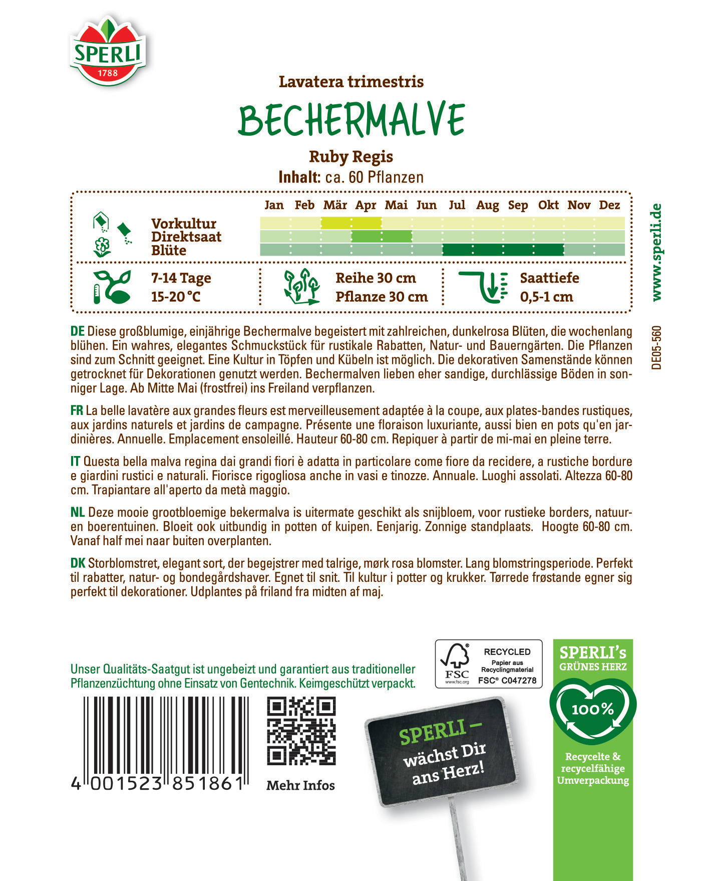 Grafik einer Bechermlave mit Blüte, Blütezeit Februar bis November, Höhe 60-80 cm, bunt, große Blüten, frostfrei mai bis oktober.