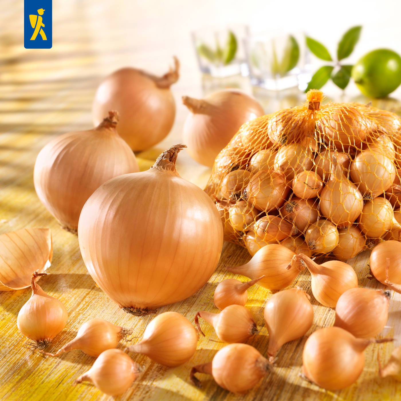 Zwiebeln in Netz und lose auf Holzplatte, einige getrennte Zwiebelhäute, Gläser mit Zitronen- und Limettenscheiben im Hintergrund.