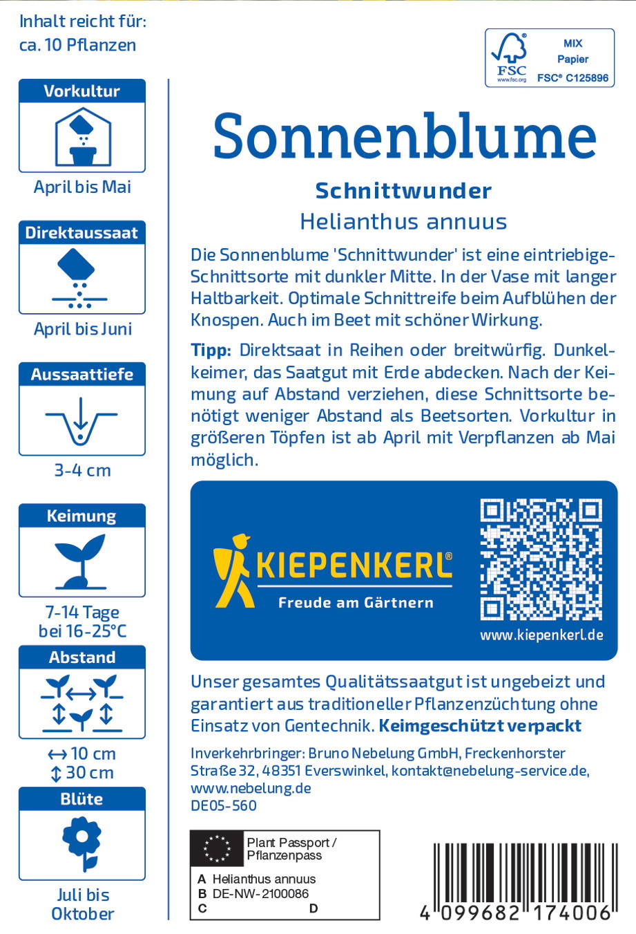 Sonnenblume 'Schnittwunder' Helianthus annuus, blüht Juli bis Oktober, Höhe 30 cm, Abstand 10 cm.