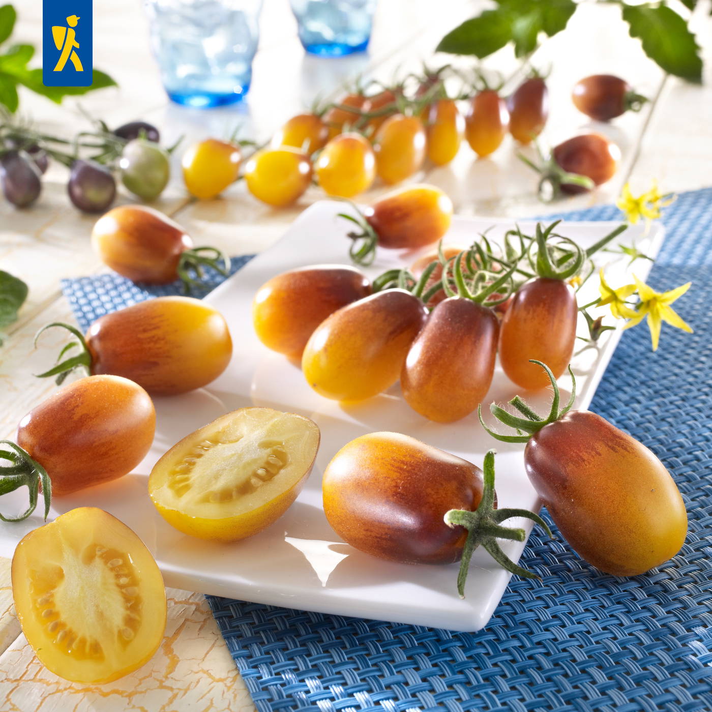 Bunte Tomaten auf weißen Tellern und einem blauen Tischläufer.