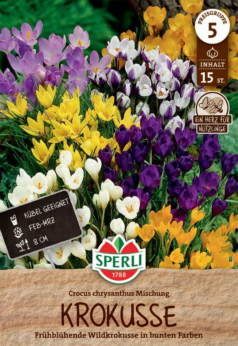 Wildkrokus Botanische Mischung