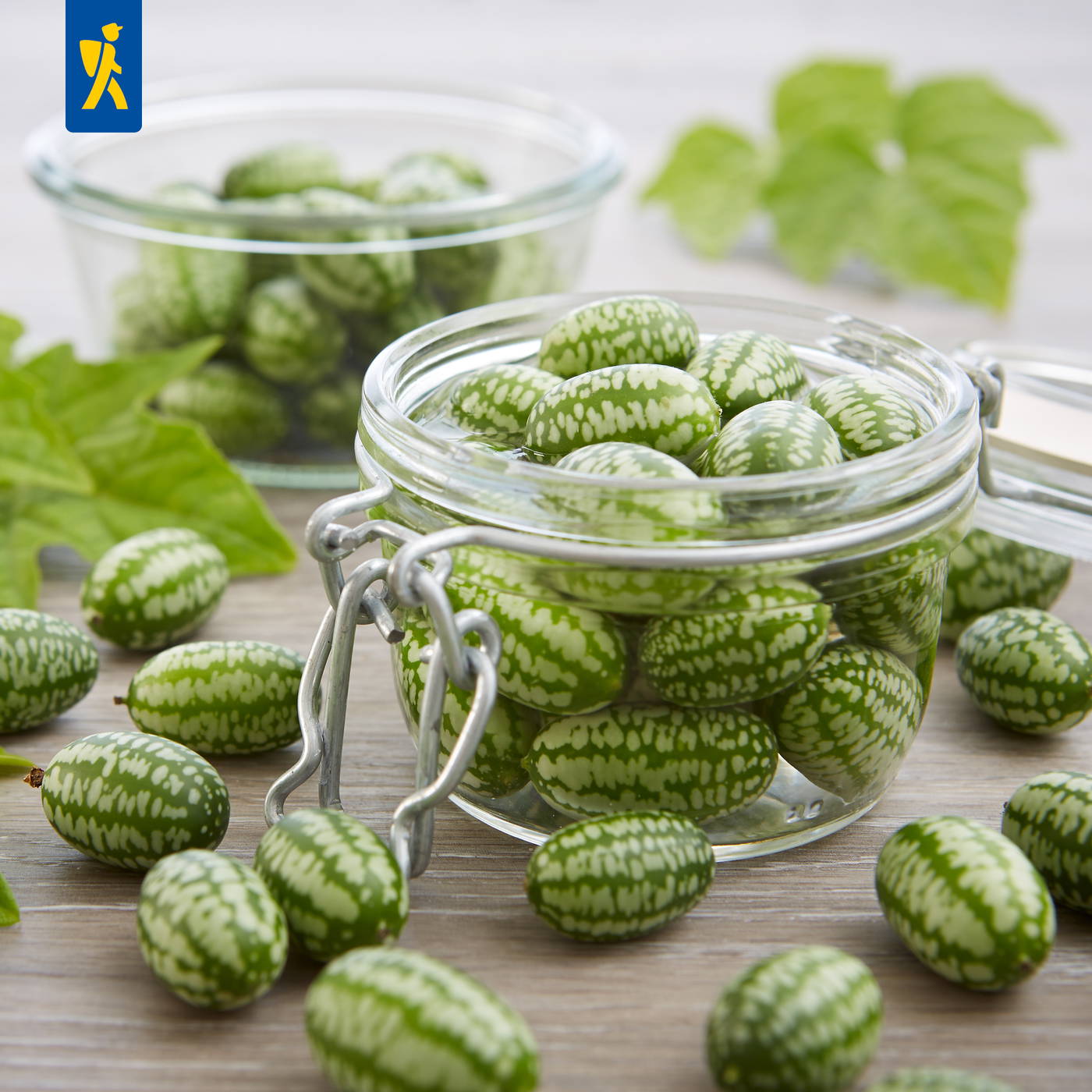 Glasgefäß mit eingelegten grünen kleinfruchtigen Kürbissen, einige Kürbisse und Blätter auf Holztisch.