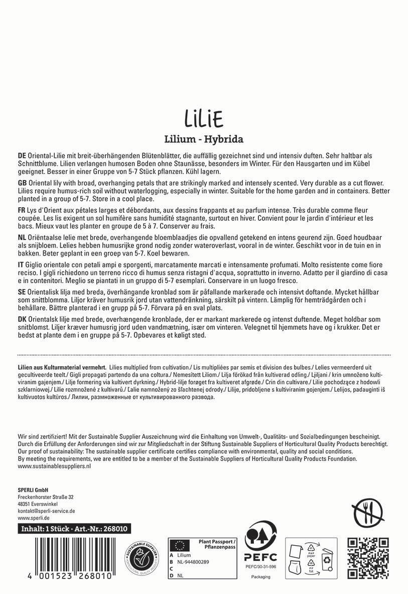 Beschrieb von Text, enthält Hinweise zur Lilie mit breiten Blättern, Duft, Pflege, Herkunft und Nachhaltigkeit.