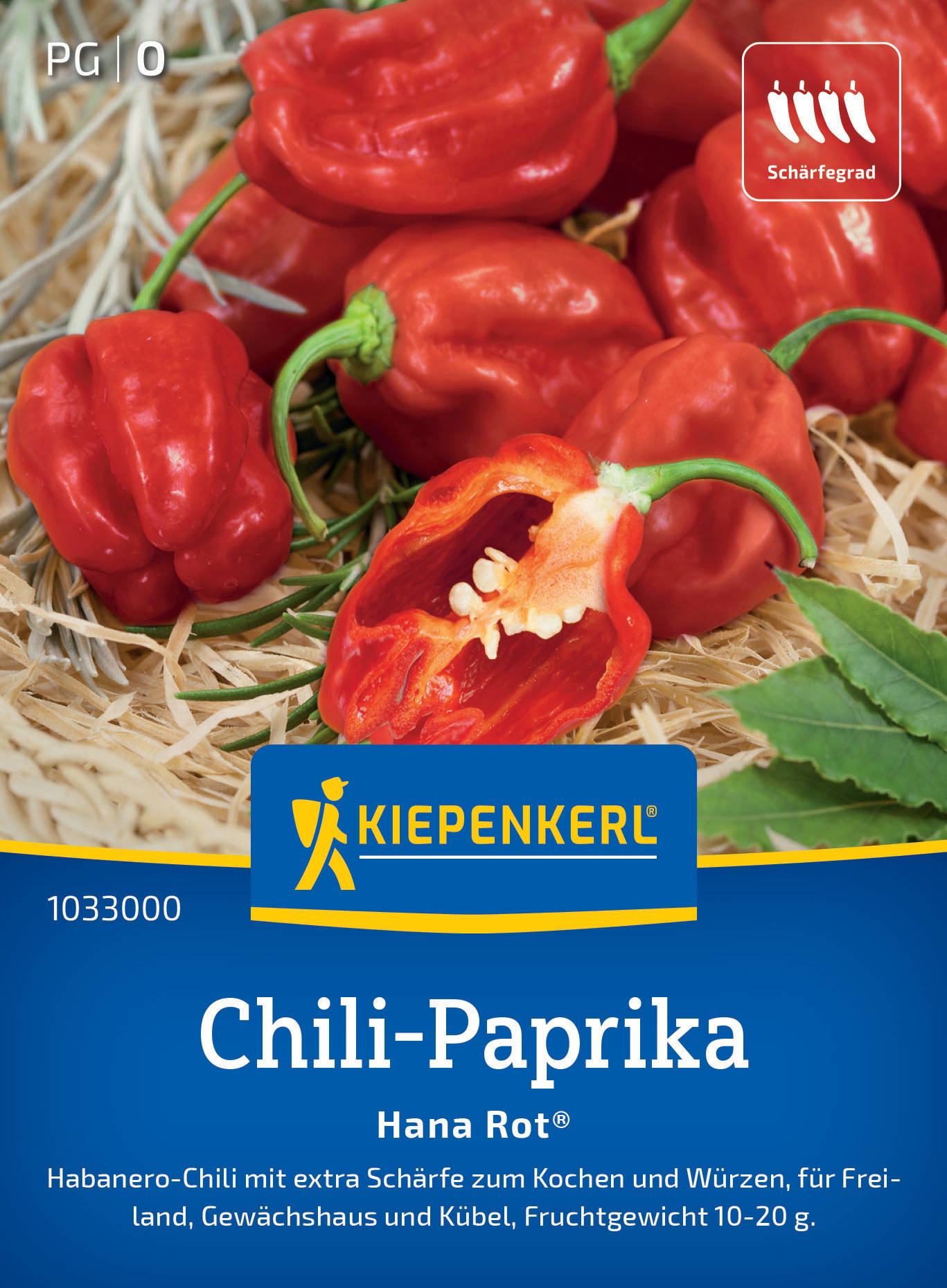 Chili-Paprikasamen Hana Rot®, F1 