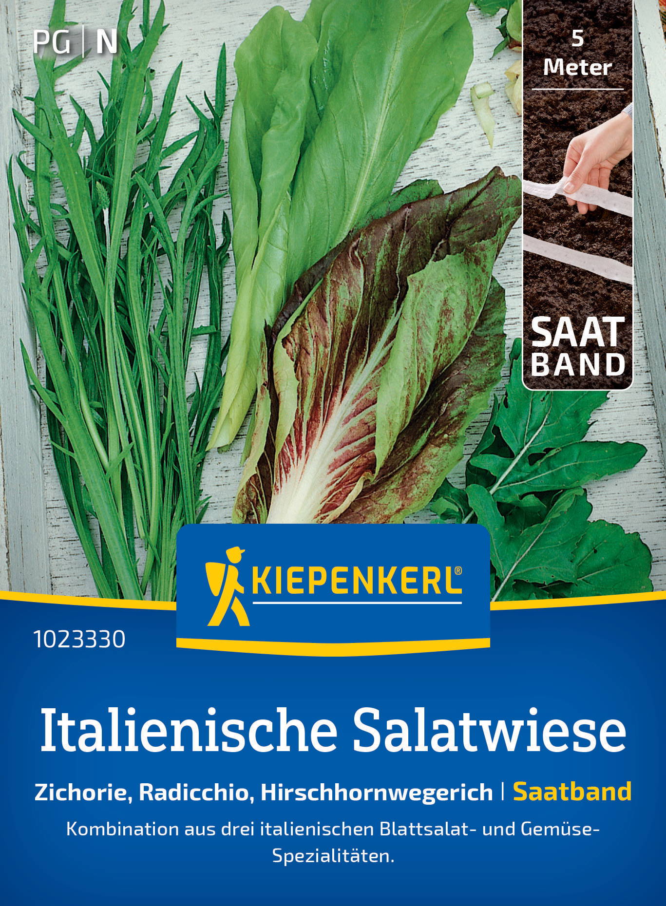 Verschiedene grüne Salatblätter, darunter Zichorie, Radicchio, Hirschhornwegerich, auf einem hölzernen Hintergrund, mit Messband.