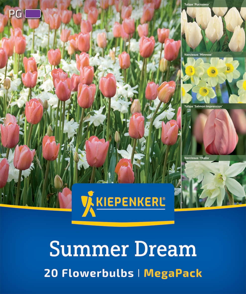 Mega-Pack Blumenzwiebelmischung Summer Dream Mix
