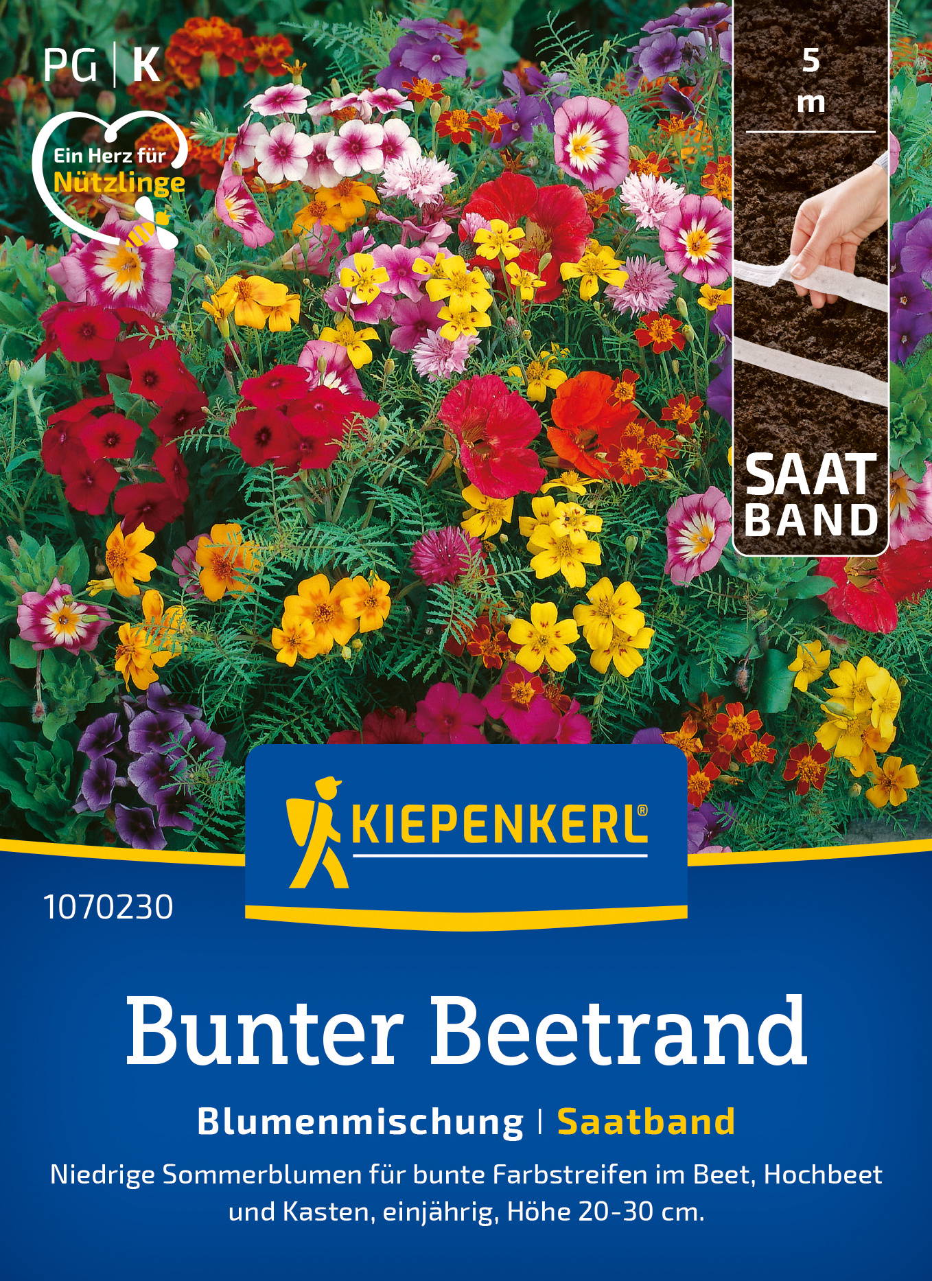 Bunter Beetrand mit bunten Sommerblumen, im Beet und Hochbeet, einjährig, Höhe 20-30 cm