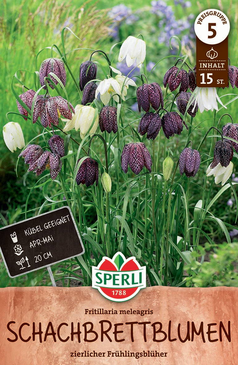 SPERLI's Schachbrettblume Herbstblumenzwiebel online kaufen