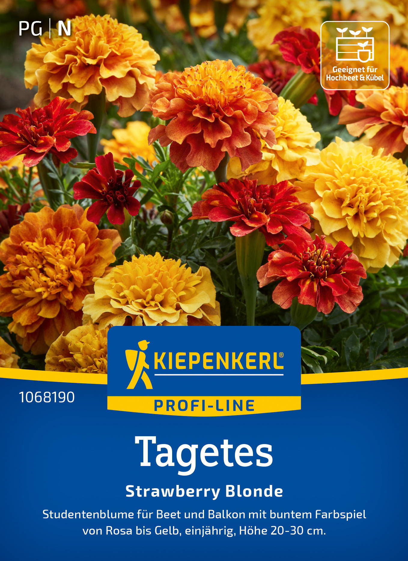 Tagetessamen Strawberry Gold