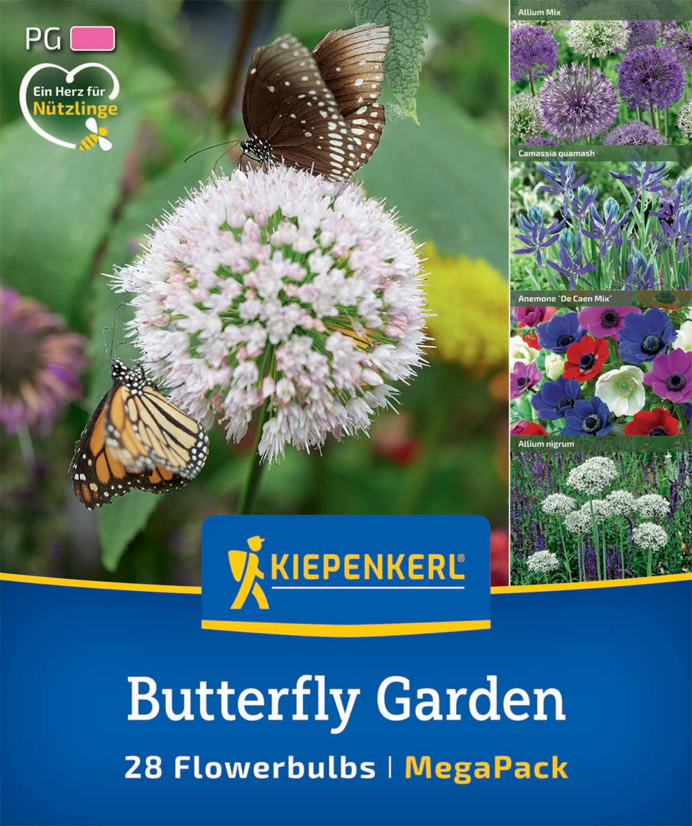 Schmetterling auf pinker runder Blüte mit grünen Blättern im Hintergrund.