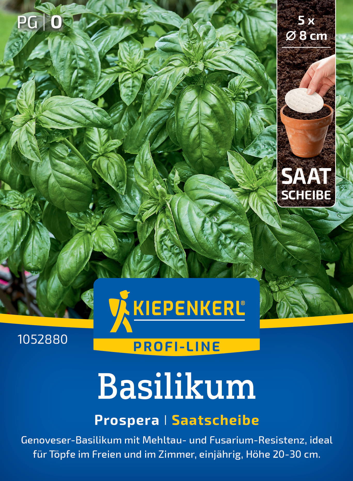 Basilikumpflanze mit großen grünen Blättern, Verpackung von Kiepenkerl mit Saatkärtchen, Pflanzen in Töpfen, Anzuchtinformation.