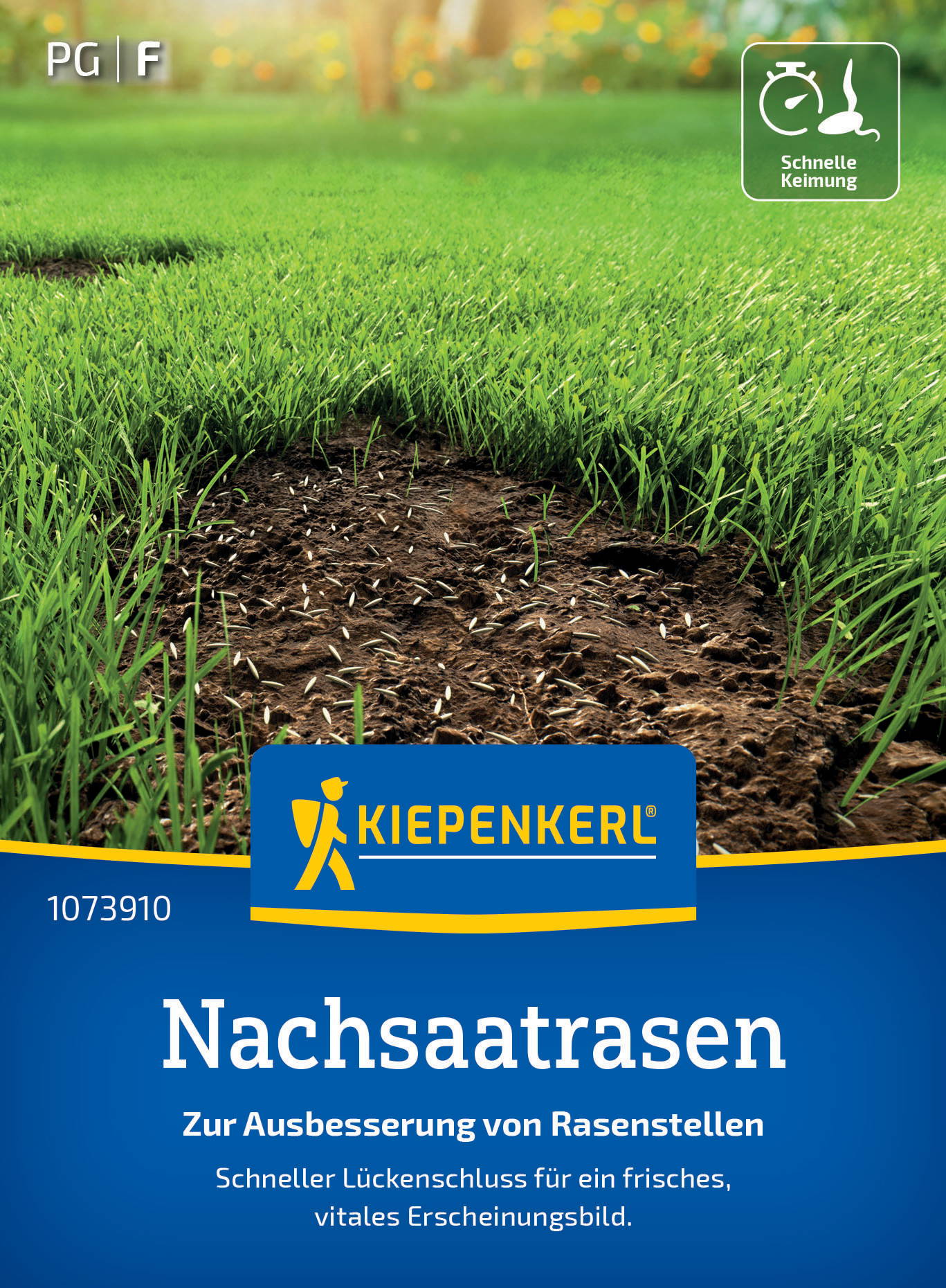 Grüner Rasen mit eingesäten kahlen Stellen und weißen Samenkörnern, sonniges Hintergrundbild.