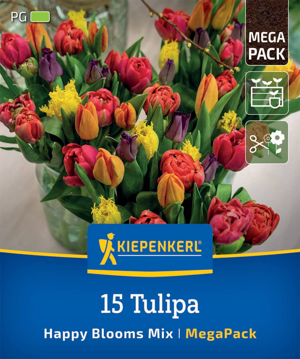 Verschiedene Tulpen und Narzissen in einem Blumenstrauß in einer Vase.