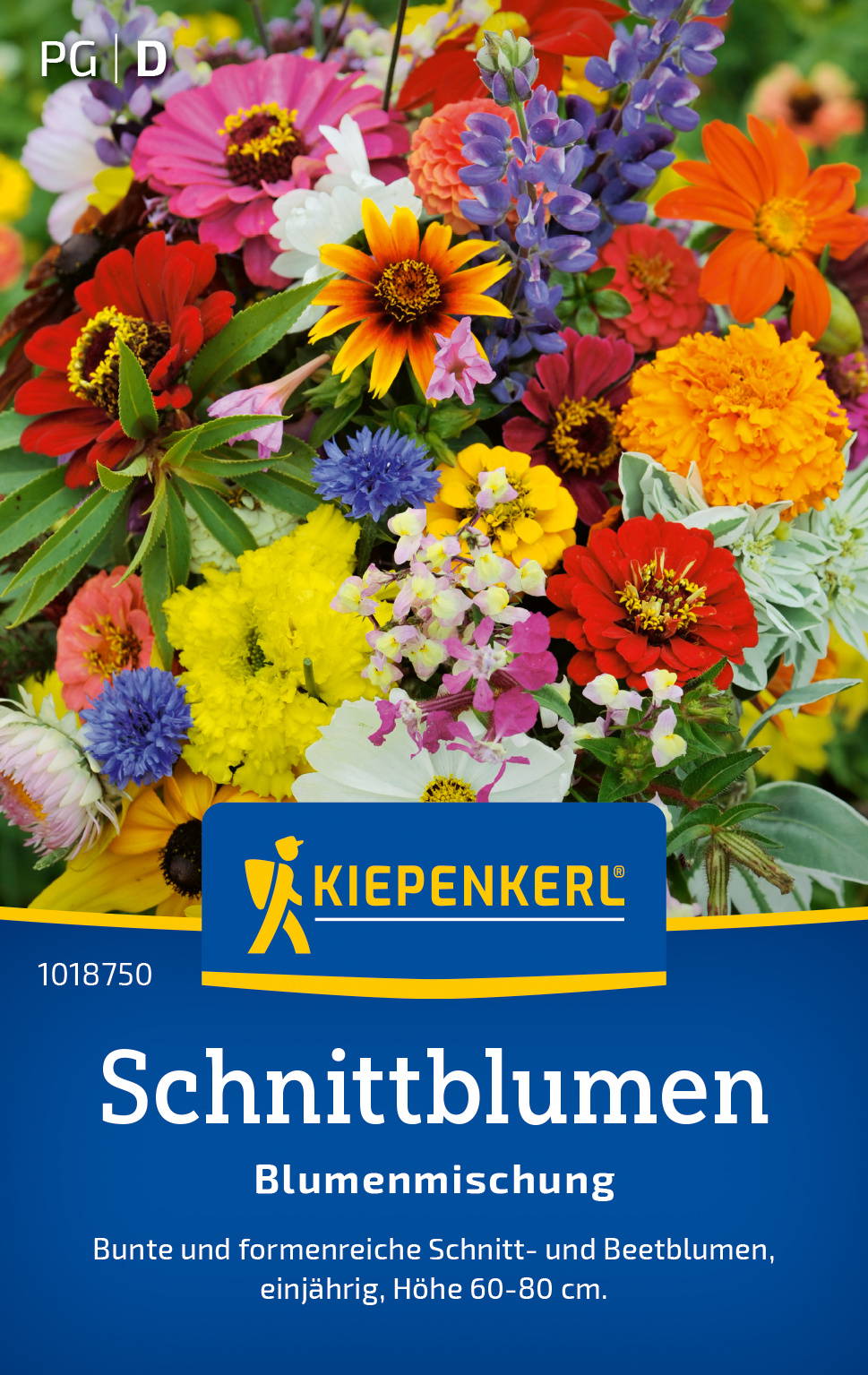 Blumenmsamen-Mischung Einjährige Sommerblumen