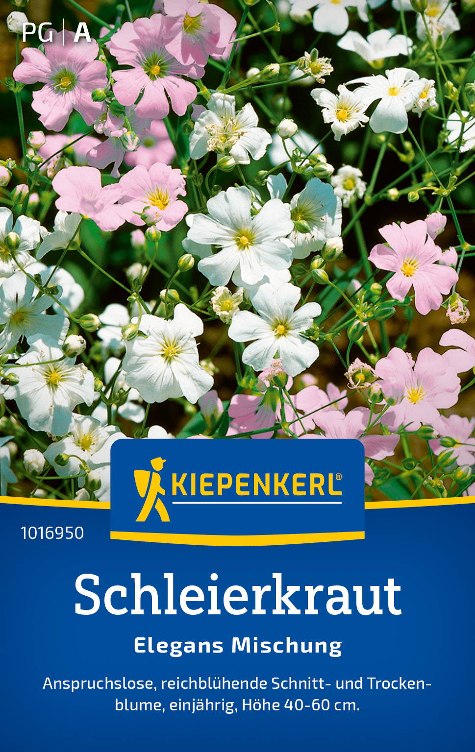 Schlerkraut Pflanzen mit weißen und rosa Blüten, in Tüte verpackt, Kiepenkerl Marke.