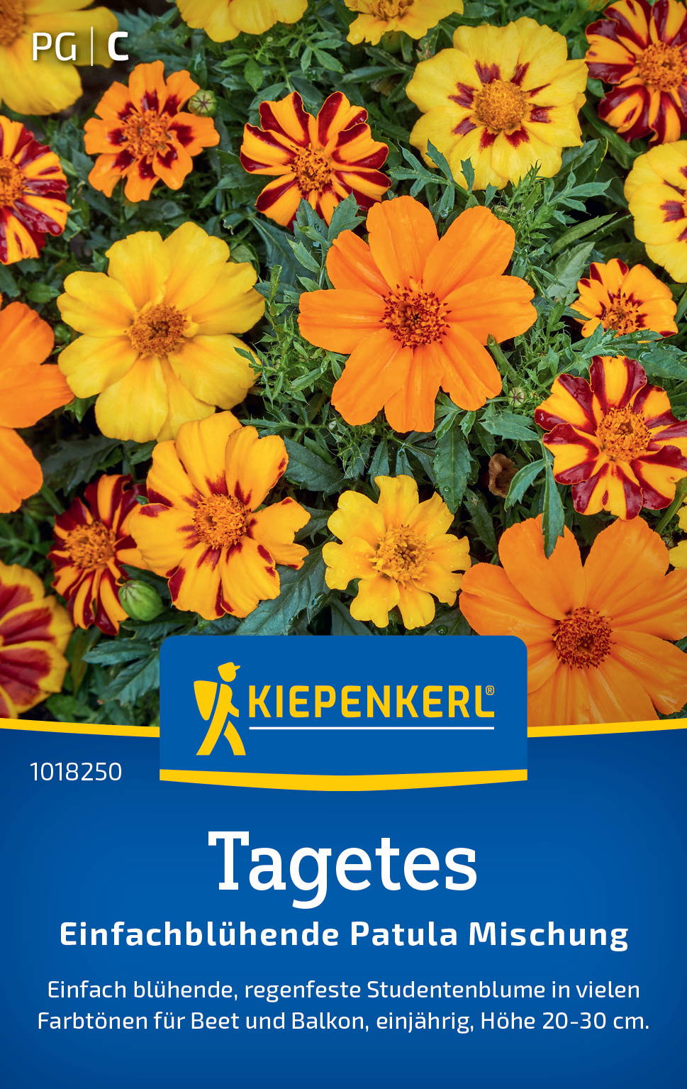 Bunte Blüten in Gelb, Orange und Rot mit grünen Blättern, Tages drauf, Verpackung mit Kiepenkerl-Logo.