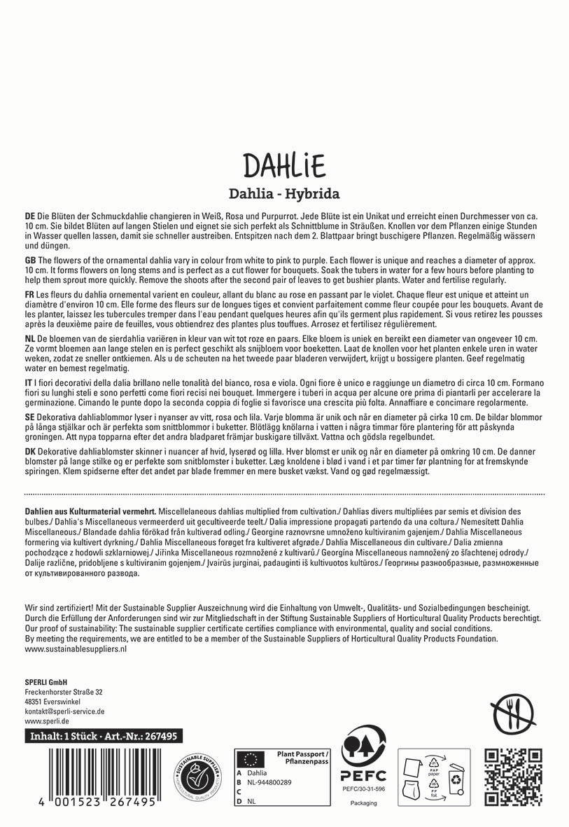Textblock mit Produktinformationen zu Dahlien, in mehreren Sprachen, mit Zertifizierungs- und Nachhaltigkeitssymbolen.