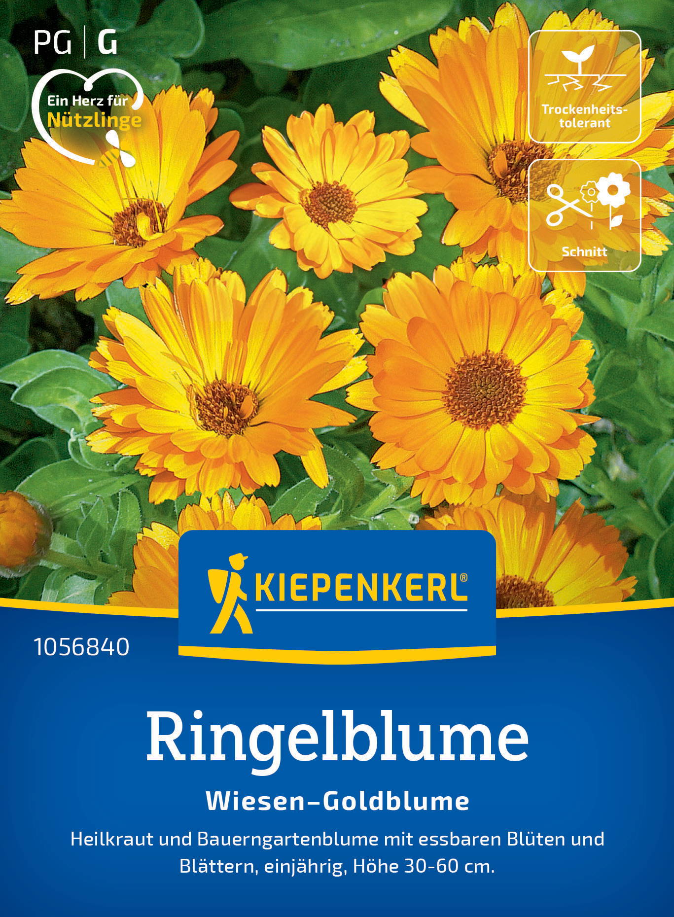 Gelbe Ringelblumen mit grünen Blättern auf einer Blumensaatpackung.