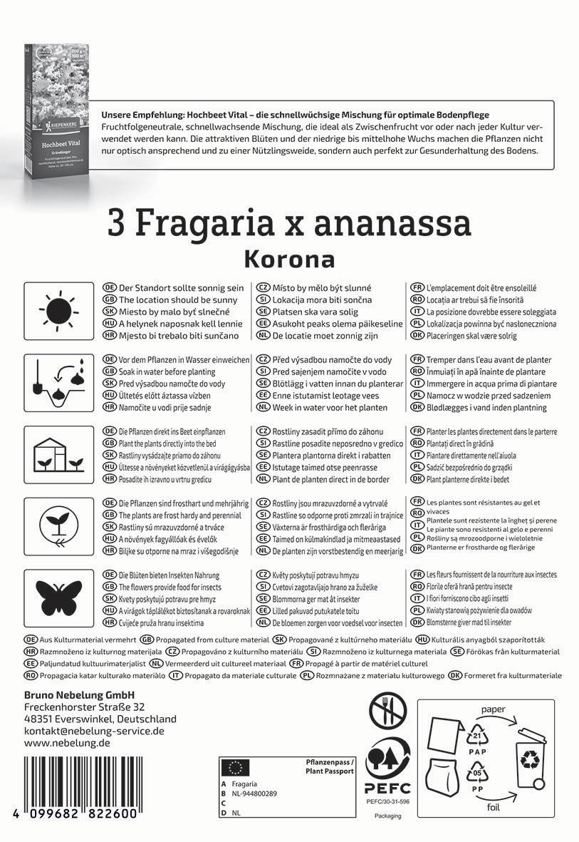 Anleitung und Produktinformationen für Hochbeet Vital mit Ananas, Text in mehreren Sprachen, Symbolen für Pflanzenpflege.