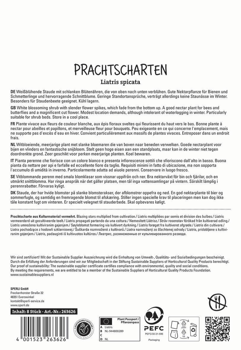 Weißblühende Staude mit schlanken Blättern und weißen Blüten, ideal für Staudenbeet, winterhart, wächst im Schatten.