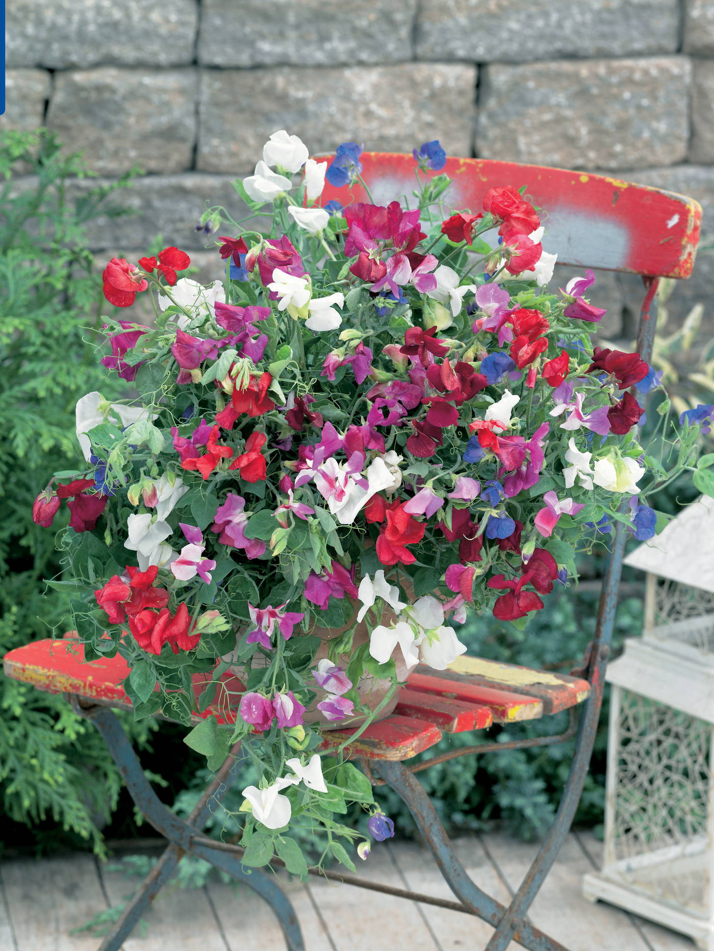 Bunter Blumenstrauß mit roten, weißen, violetten und blauen Blumen auf einer roten, wettergegerbten Gartenbank vor einer Steinmauer.