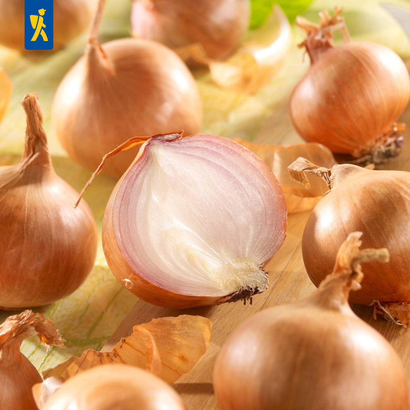 Mehrere braune Zwiebeln, eine halbierte Zwiebel mit weißem Innenleben auf Holzplatte.