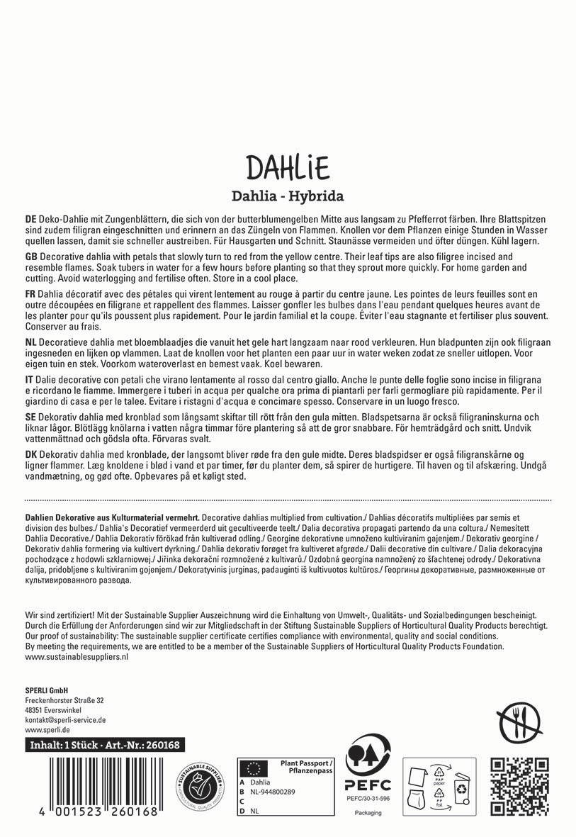 Beschreibung: Verpackungsschild mit Beschreibung der Dahlia Hybrid und Pflegehinweisen in mehreren Sprachen.
