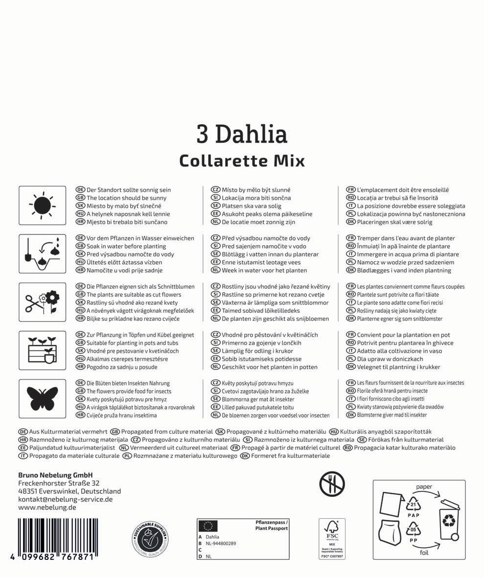 Anleitungstafel mit Pflanzentipps in mehreren Sprachen, Symbole für Wasser, Saat, und Kulturmaterial, Firmenadresse, Barcode.