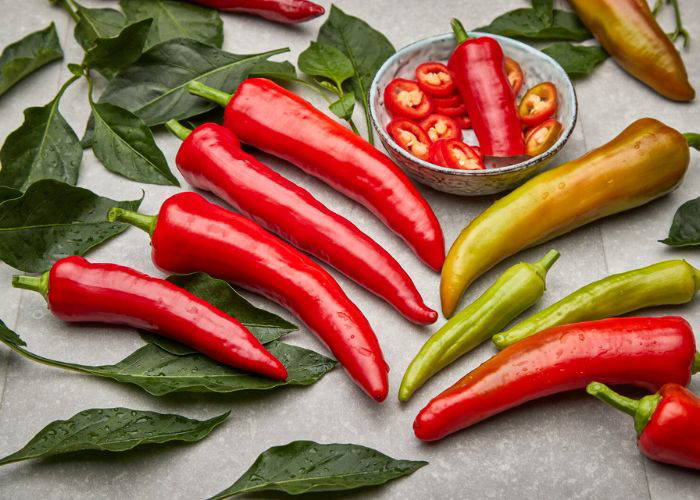 Rote, grüne und gelbe Chili-Schoten liegen auf einem Tuch, mit einer Schüssel halbierter roter Chilis.