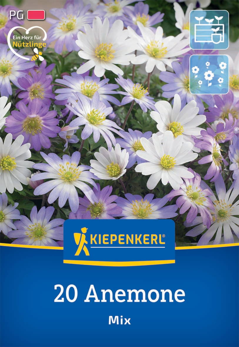 Bunte Anemonenblumen in Weiß und Lila, Verpackung mit Logo, Text und Icons.